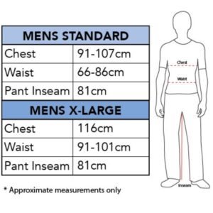 Costume Harry Potter Adult Standard ea