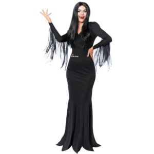 Costume Addams Family Morticia Adult Small Ea