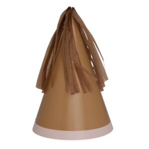 Ultra Party Hat Acorn Pk 10