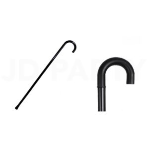 Walking Cane Plastic Ea