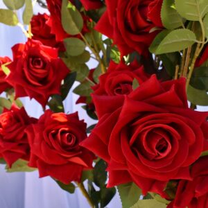 Roses Arc Red Roses Flowers 2.4m HIRE Ea