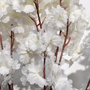 Blossom Tree White Flowers 2.5m HIRE Ea