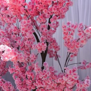 Bloom Pak16 Pink Blossom Trees x 4 HIRE Ea