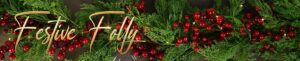 Read more about the article Festive Folly Range For Christmas